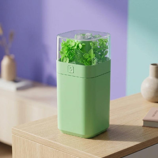 Humidificateur d'air Portable Eternal Flower - مرطب جو محمول