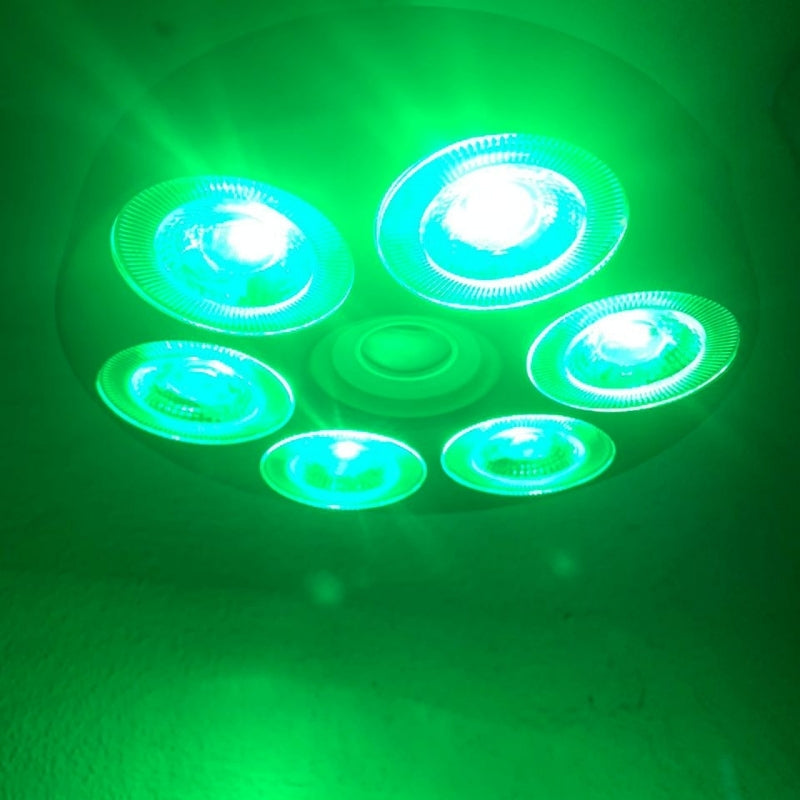 Projecteur de lumière Sonore RGB + W 4 en 1 Avec Bluetooth effet stroboscope
