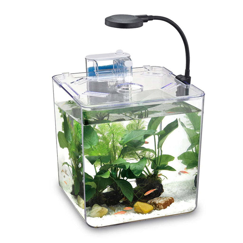 Kit mini aquarium nanbor avec système de filtrage et lampe led – حوض أسماك مع مصباح