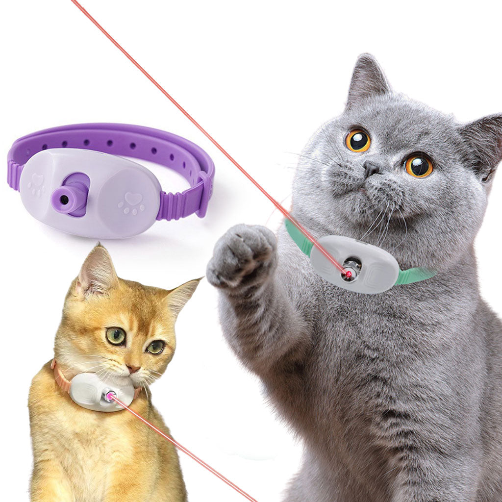 Collier Laser LED un Jouet Interactif pour Chat – سوار ليزر للقطط