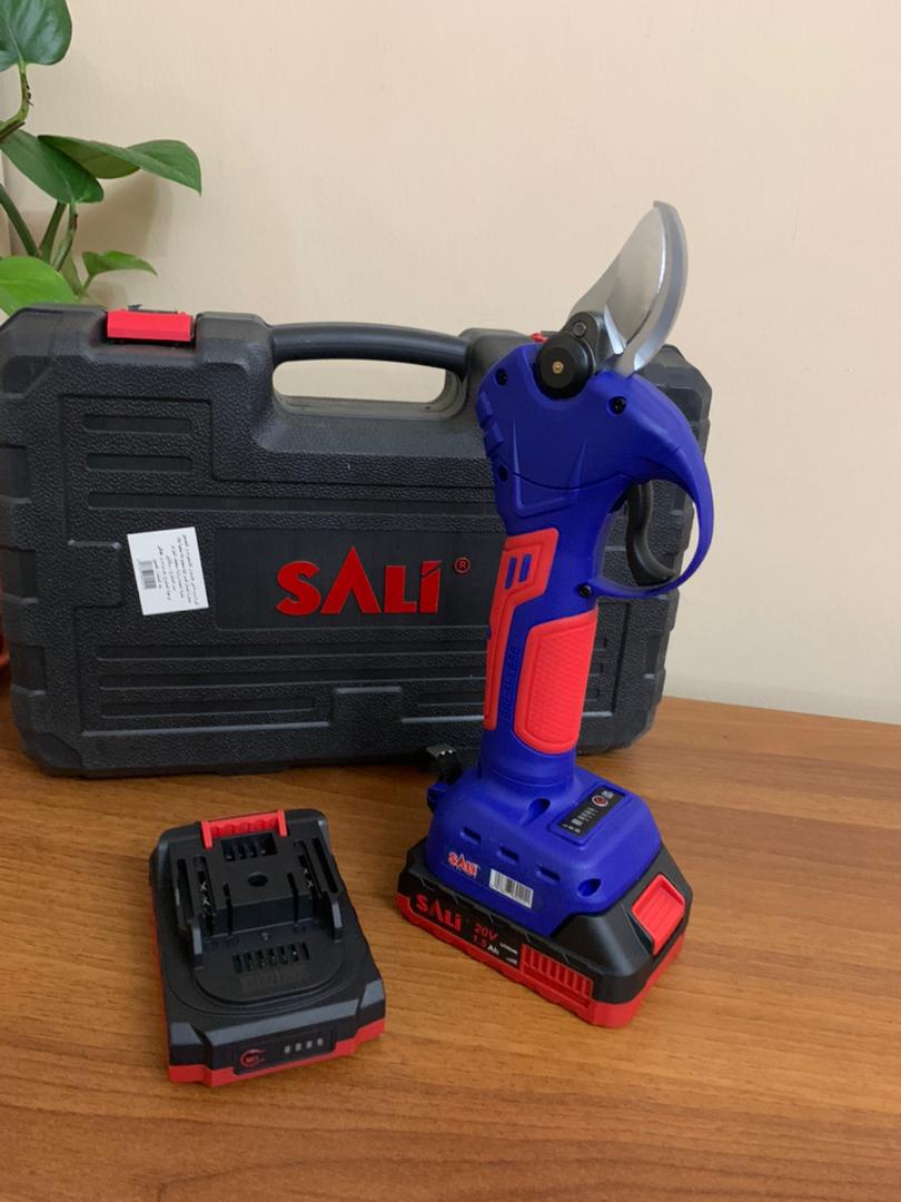 SALI Sécateur électrique 25 V avec 2 Batteries