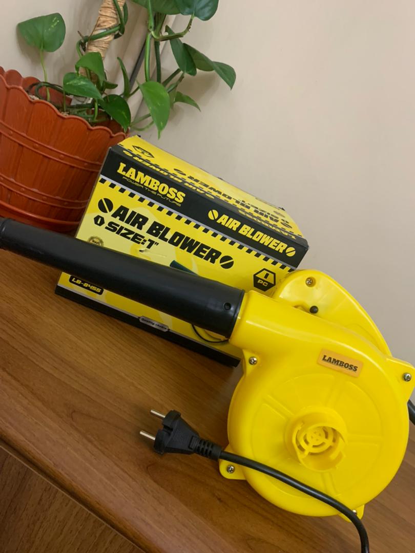 Aspirateur Souffleur pour Extérieur et Intérieur 600W